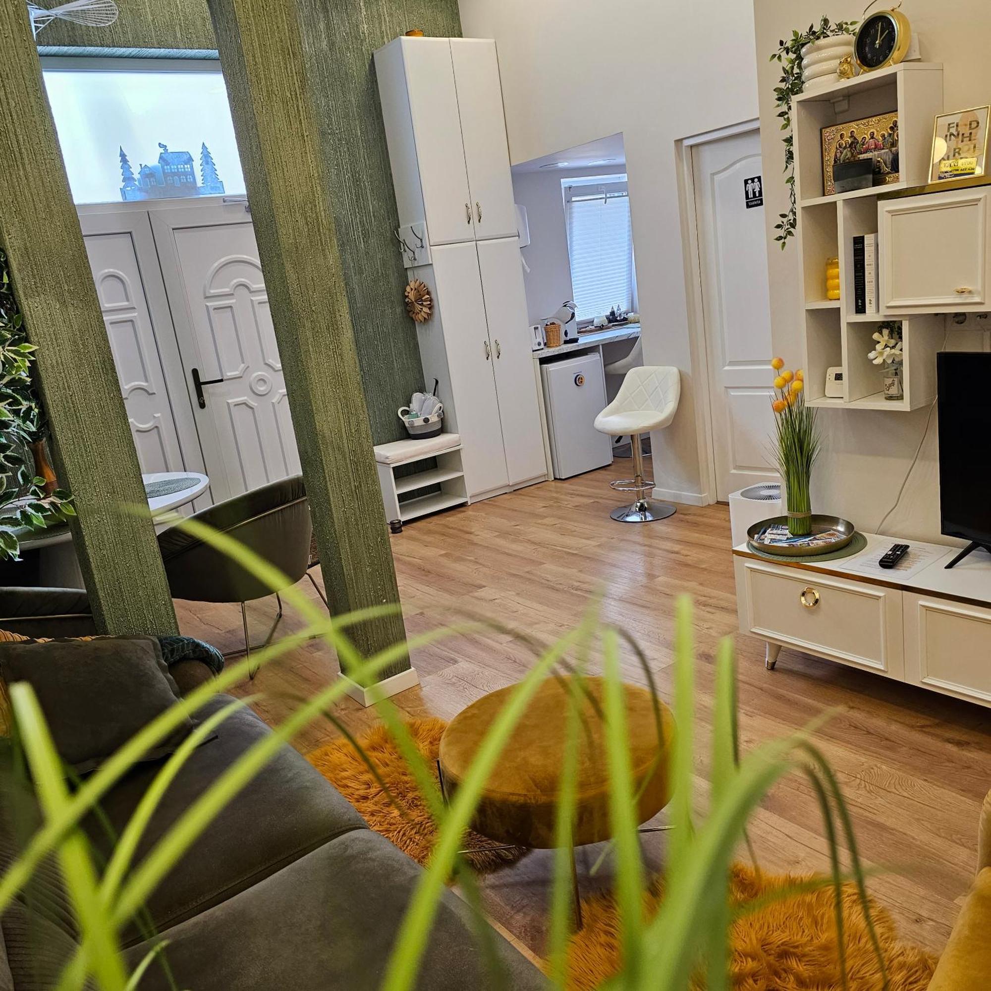 Apartament M Vatra Dornei Luaran gambar